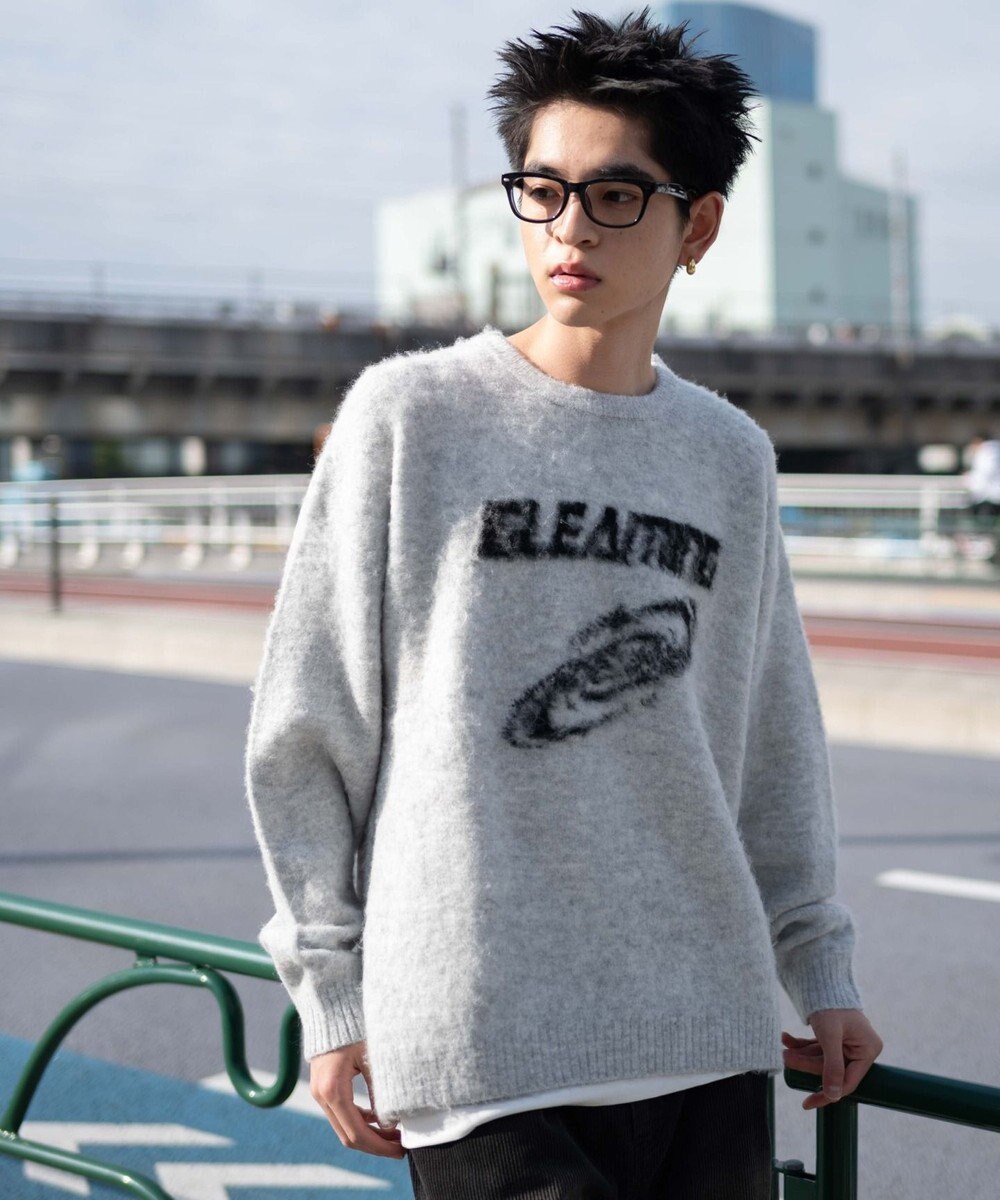 WEGO 【ユニセックス着用ITEM/MLサイズ展開】シャギーグラフィックプルオーバー 