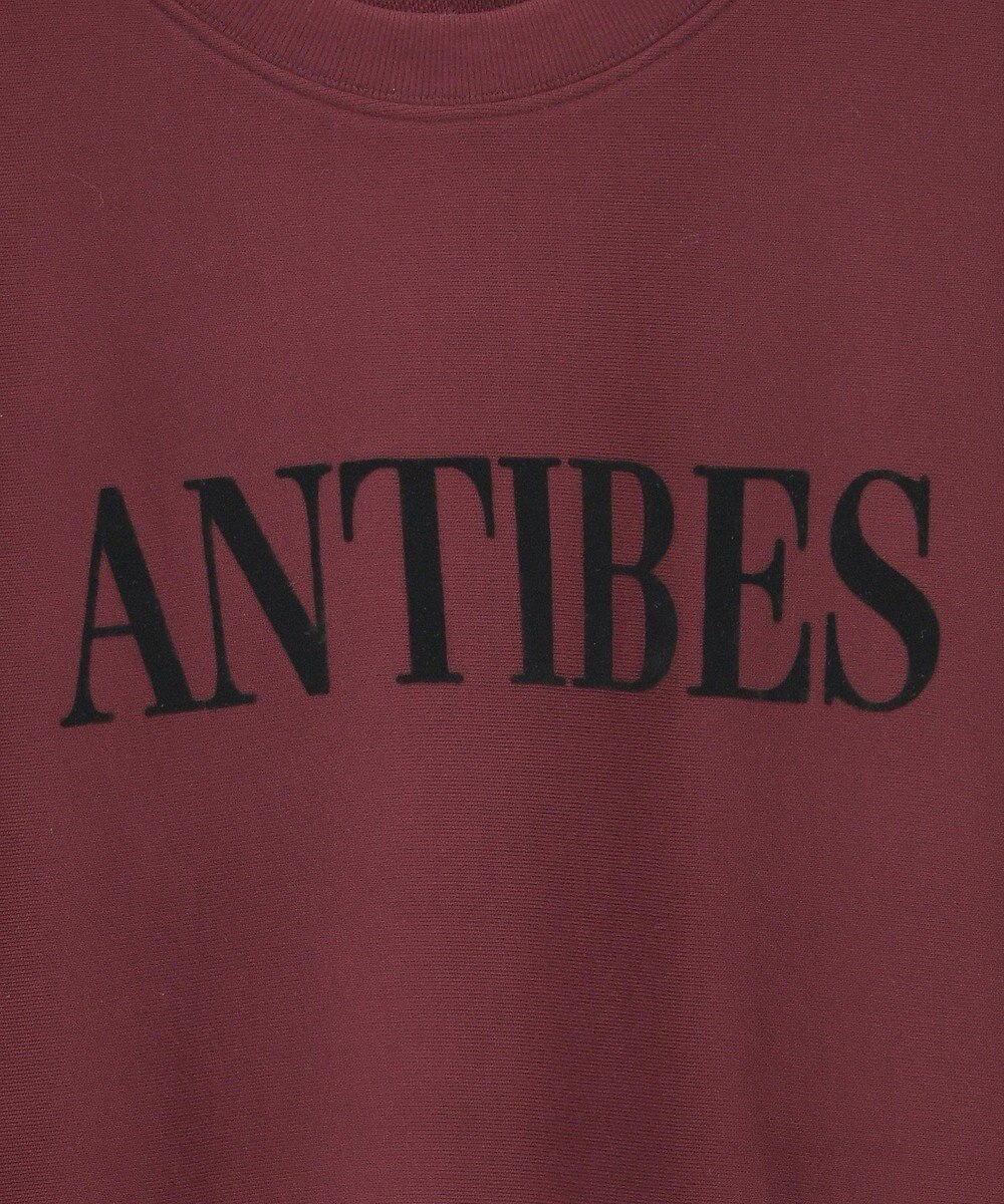 AMERICAN HOLIC Fairfield フロッキースウェットプルオーバー 