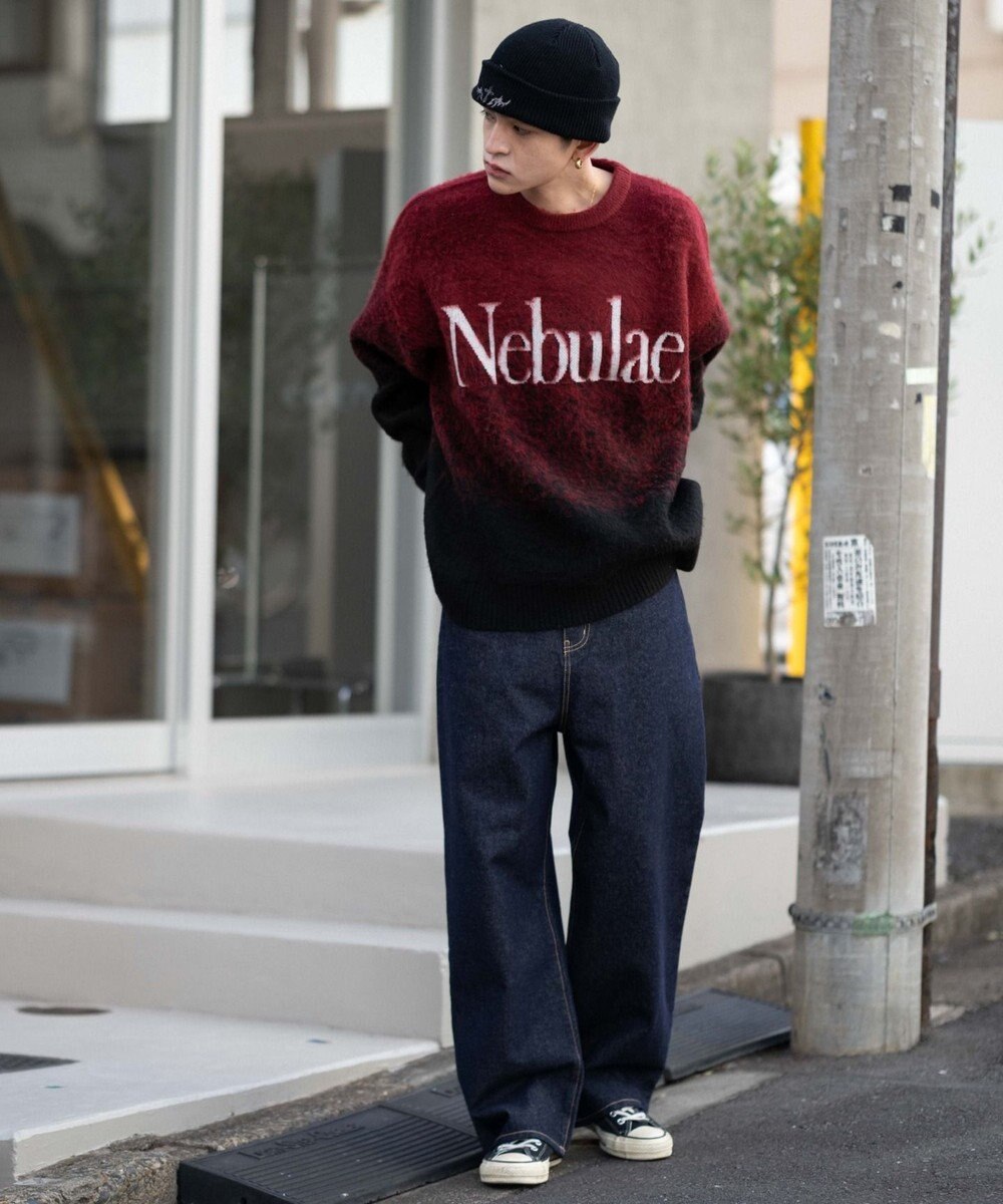 WEGO 【ユニセックス着用ITEM/MLサイズ展開】ファジーグラデーションプルオーバー 