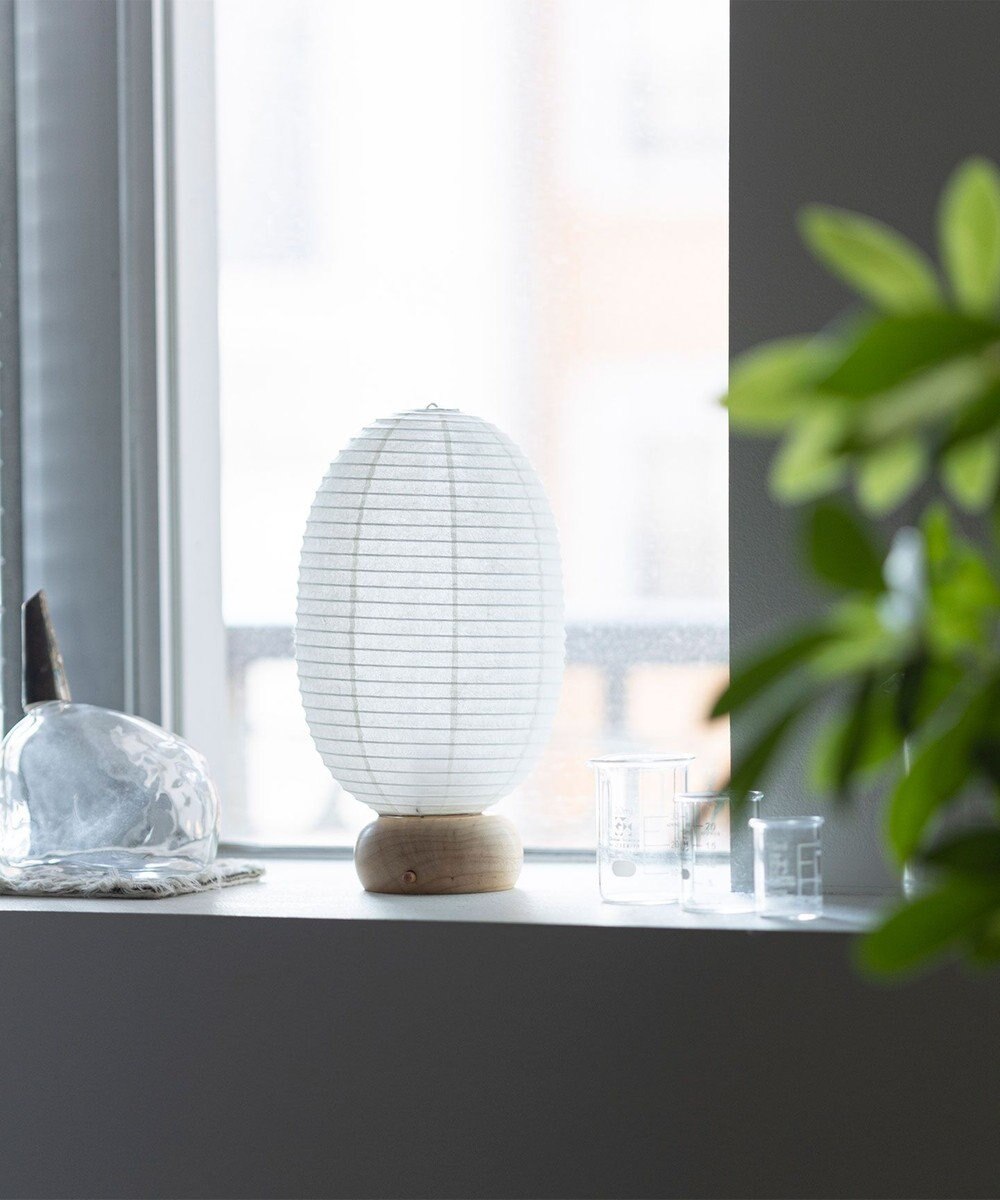 ちょうちん堂 【cocolan Muji】恐竜 ちょうちん ライト 