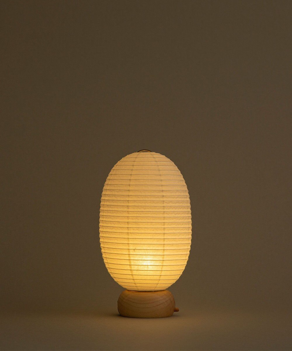 ちょうちん堂 【cocolan Muji】恐竜 ちょうちん ライト 