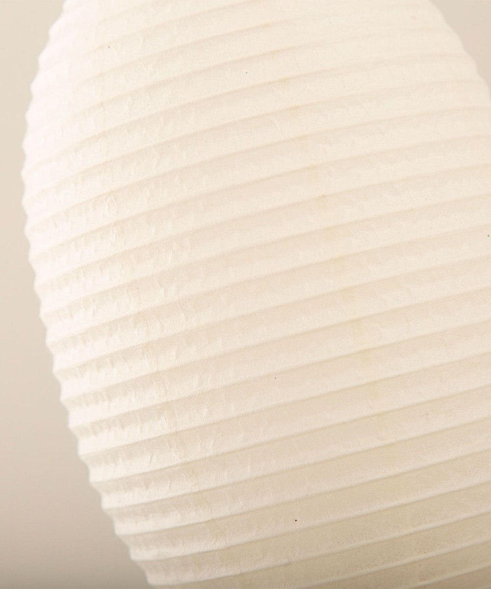 ちょうちん堂 【cocolan Muji】恐竜 ちょうちん ライト 