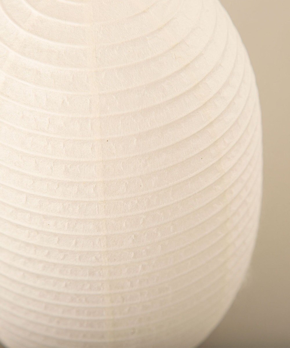 ちょうちん堂 【cocolan Muji】恐竜 ちょうちん ライト 