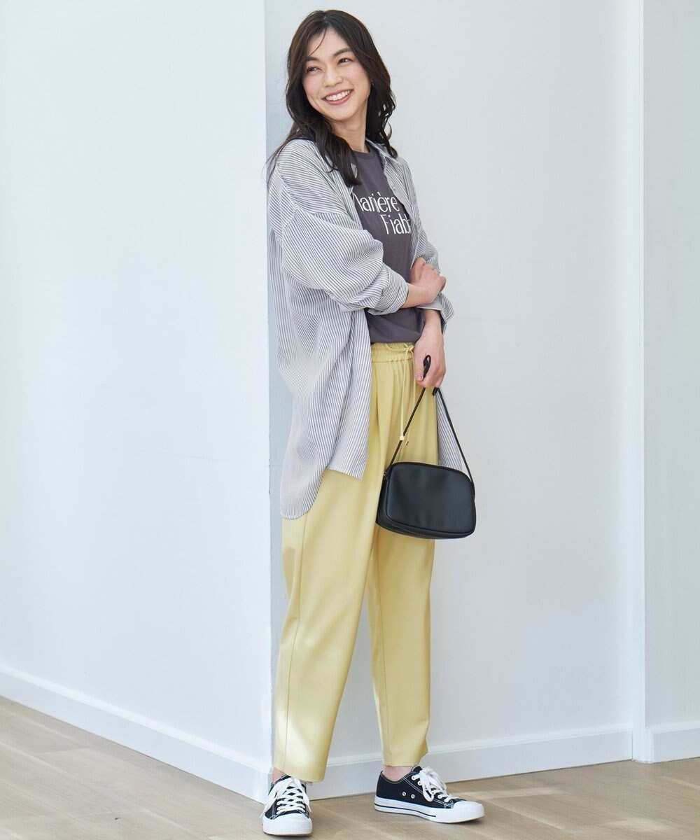 ANY シアーストライプシャツ 