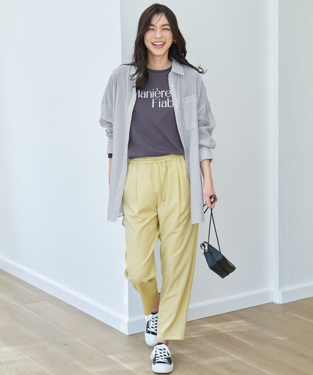 ANY シアーストライプシャツ 