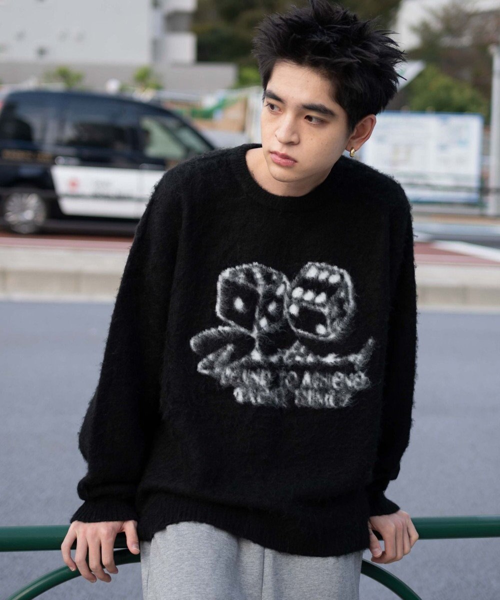 WEGO 【ユニセックス着用ITEM/MLサイズ展開】シャギーグラフィックプルオーバー 