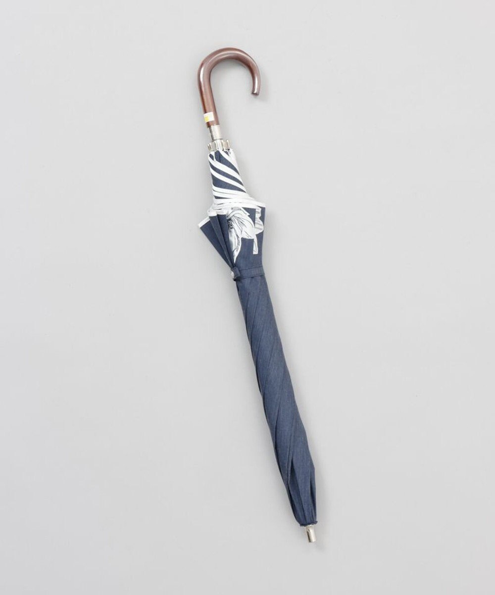 AURORA 【 NINA RICCI（ニナリッチ）】アップリケ刺しゅう/パイピング晴雨兼用傘（2段スライドショート傘） 