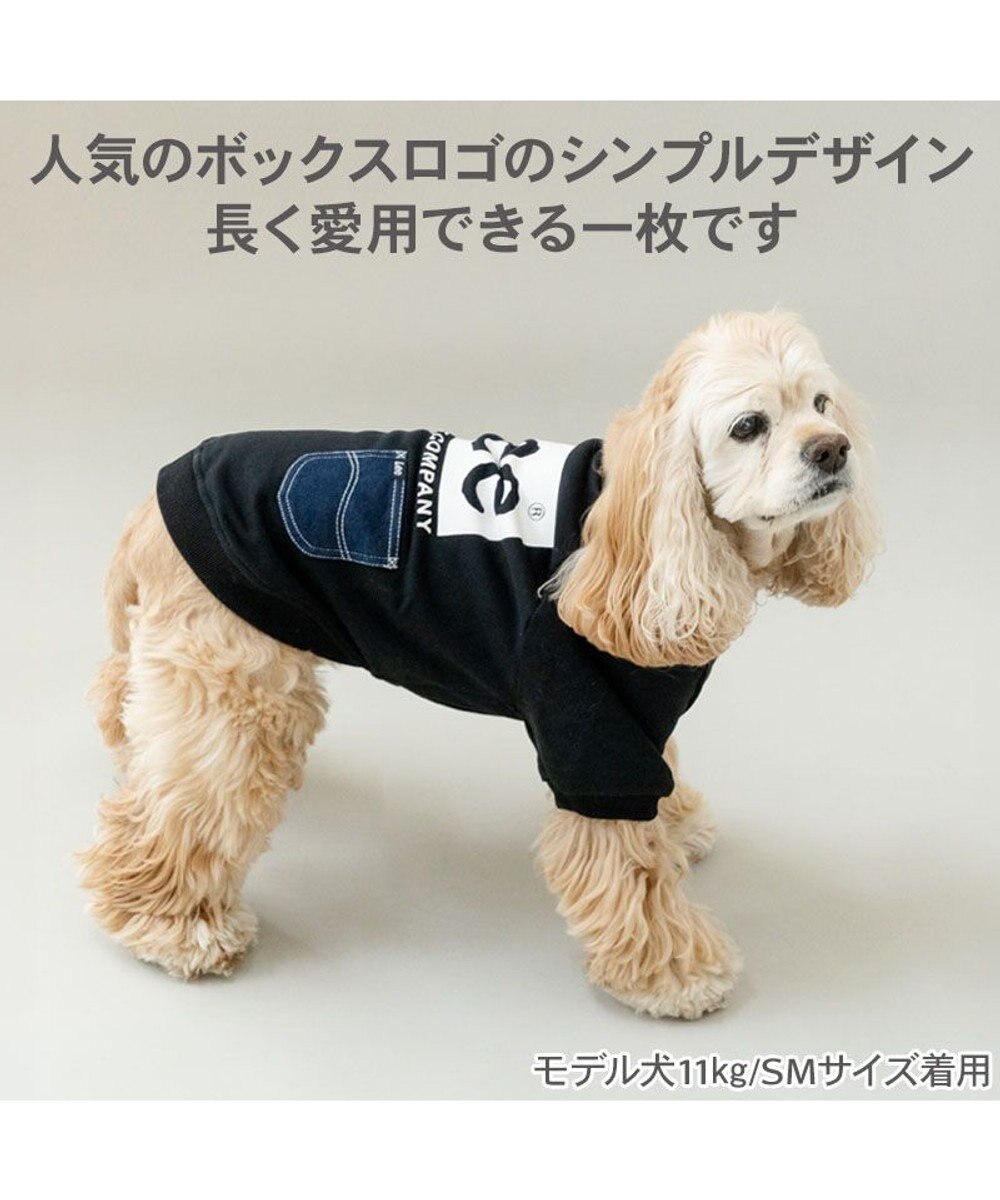 PET PARADISE Lee ボックスロゴ トレーナー ブラック 中型犬 