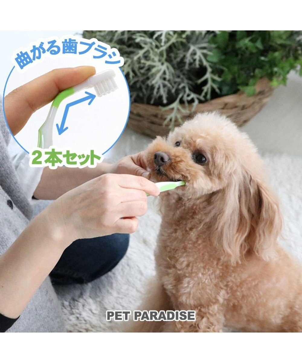 ペット用品 犬 猫 お手入れ ケア用品 ペットパラダイス 犬 歯ブラシ 曲がる 歯ブラシ ２本セット 全犬種対応 犬用歯ブラシ 猫用 ペット用 歯みがき はぶらし ハブラシ 犬 口 ケア 猫 口 ケア Pet Paradise ファッション通販 公式通販 オンワード クローゼット