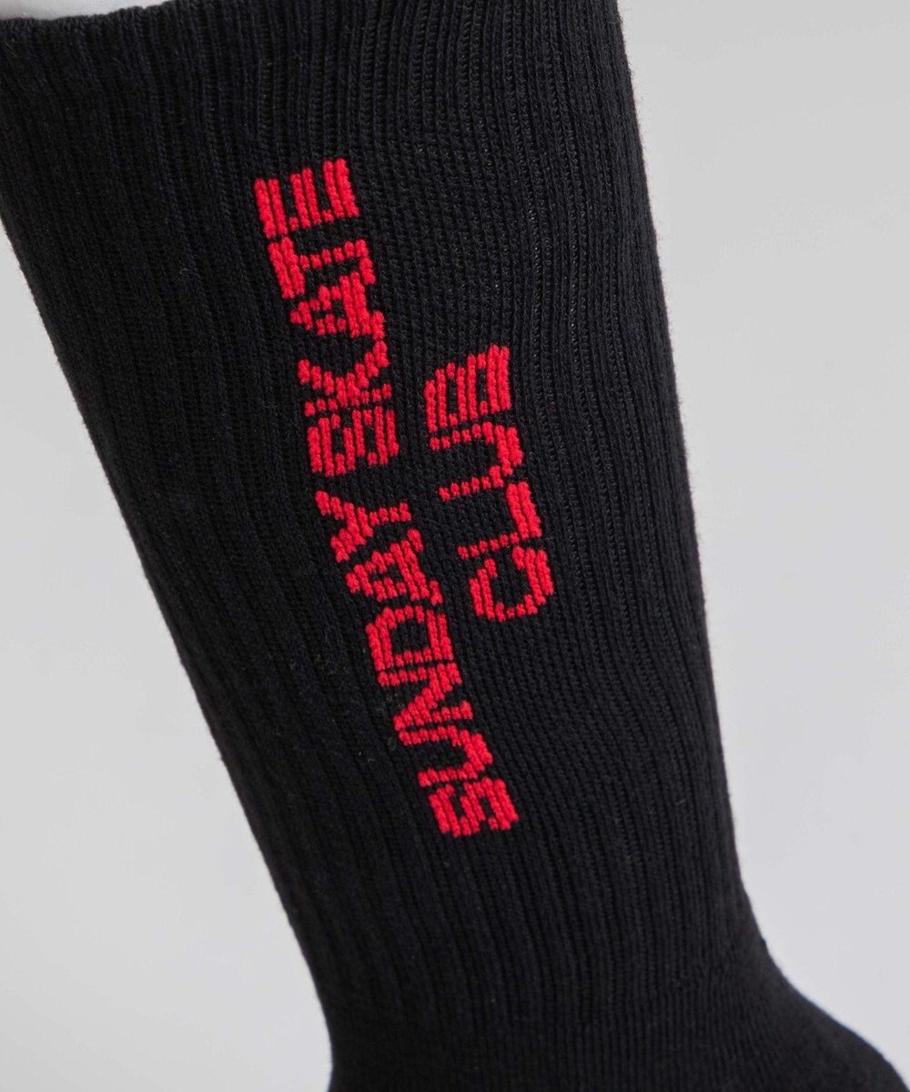 WEGO ロゴデザインソックス（R） 