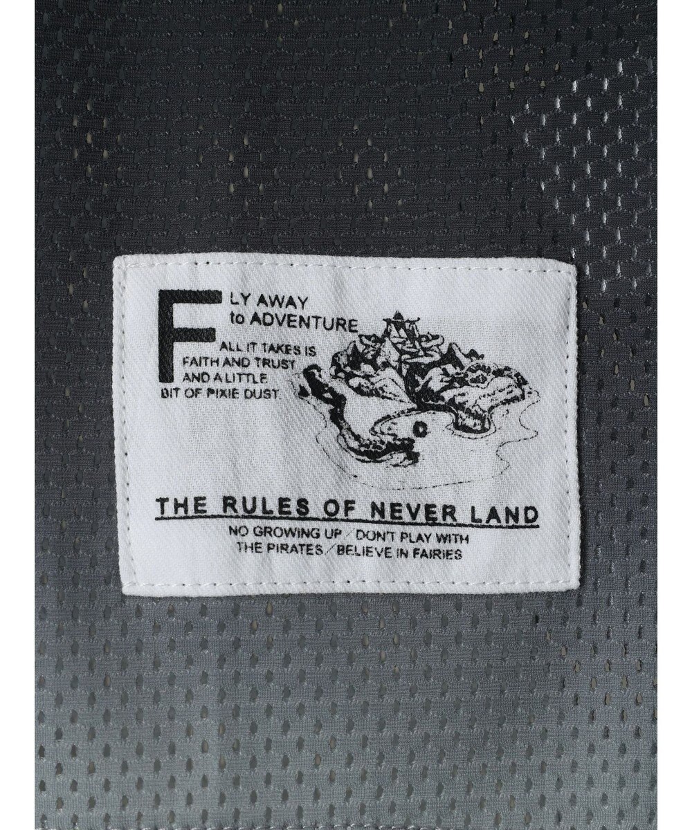 AMERICAN HOLIC ゲームシャツ／Ｐｅｔｅｒ　Ｐａｎ 