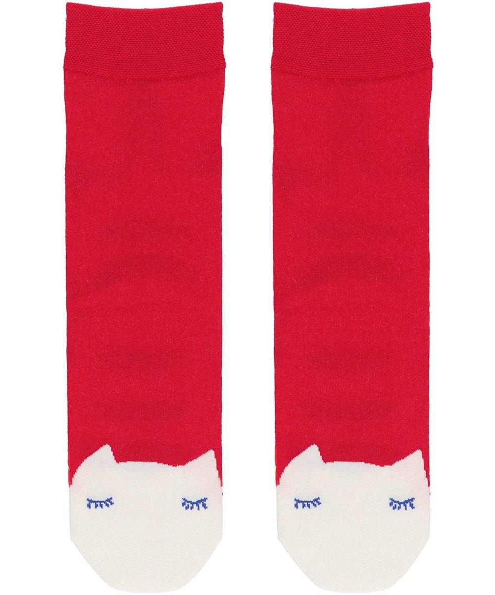 tsumori chisato SLEEP ツモリチサト ソックス 22～24cm レディース UEY500/ワコール 