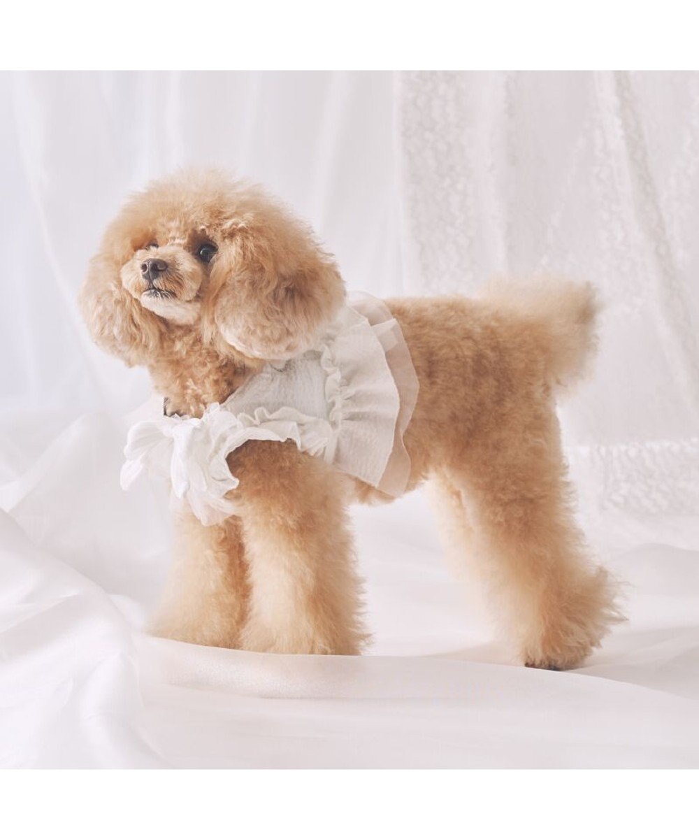 PET PARADISE cherircouture フリフリハーネス 《ホワイト》 小型犬 ４Ｓ/３Ｓ 