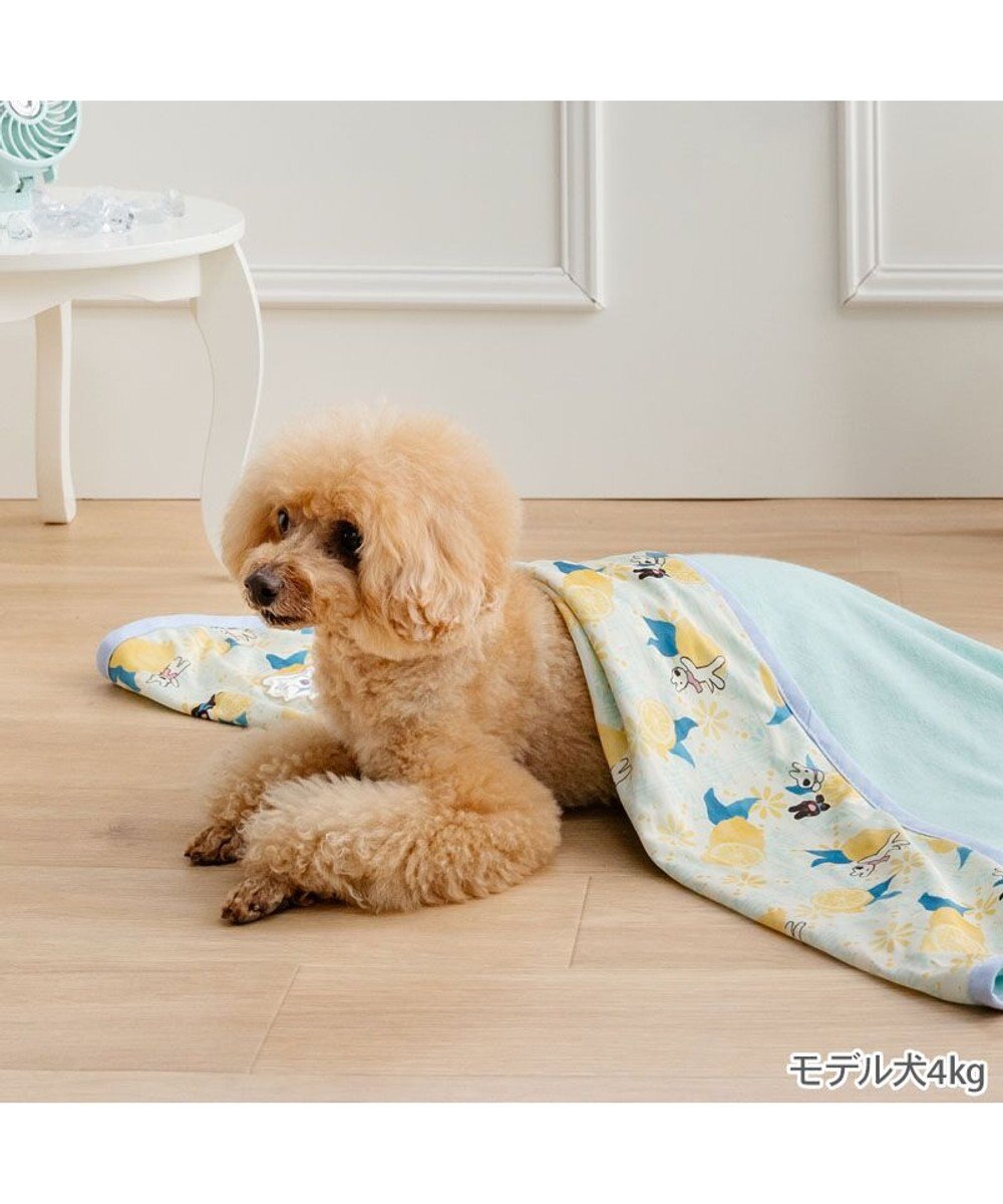 PET PARADISE リサとガスパール シトラス クール ブランケット 