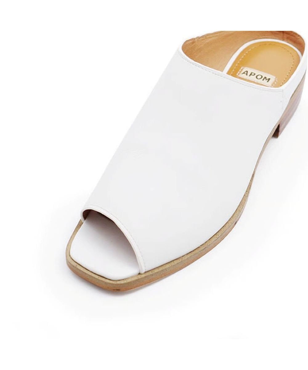 APOM カバーミュール30 