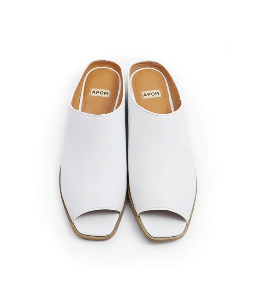 APOM カバーミュール30 