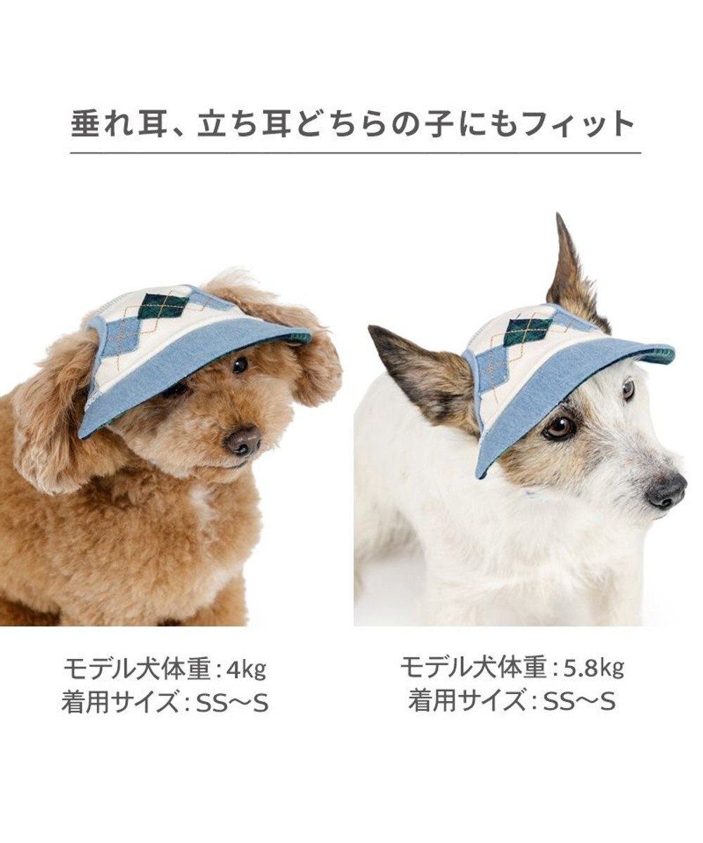 PET PARADISE ペットパラダイス アーガイル柄 帽子 ４Ｓ～３Ｓ/ＳＳ～Ｓ 