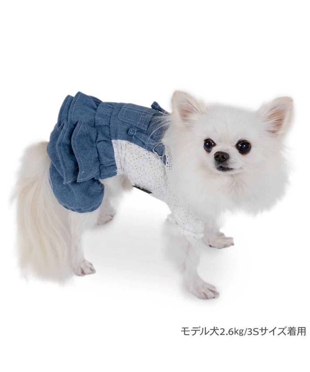 PET PARADISE ペットパラダイス レース襟 パンツつなぎ 小型犬　 