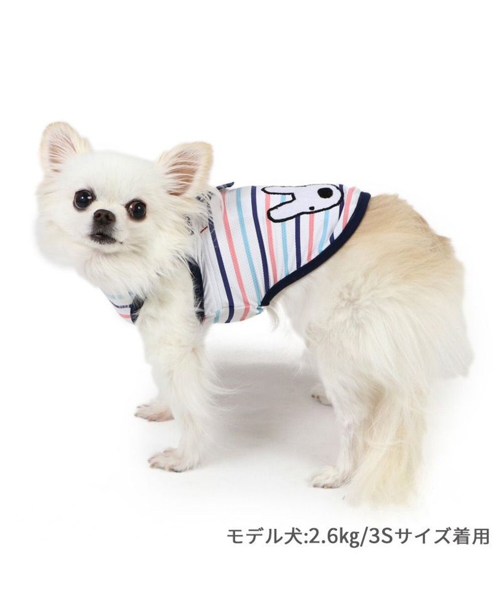 PET PARADISE リサとガスパール ポケットクール タンクトップ 《ボーダー》 小型犬 