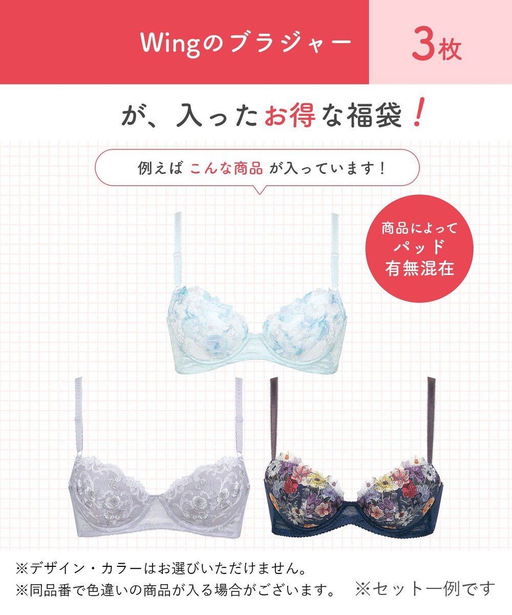 Wing 【2026年HAPPY BAG】 ウイング ブラジャー 3枚セット 