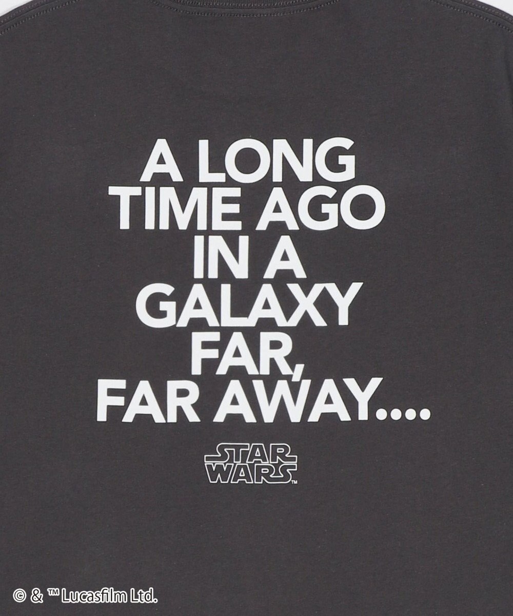 WEGO 【ディスニー/マーベル/スター・ウォーズ/ユニセックス着用ITEM/SMLサイズ展開】キャラクターズグラフィックT2（SS） 