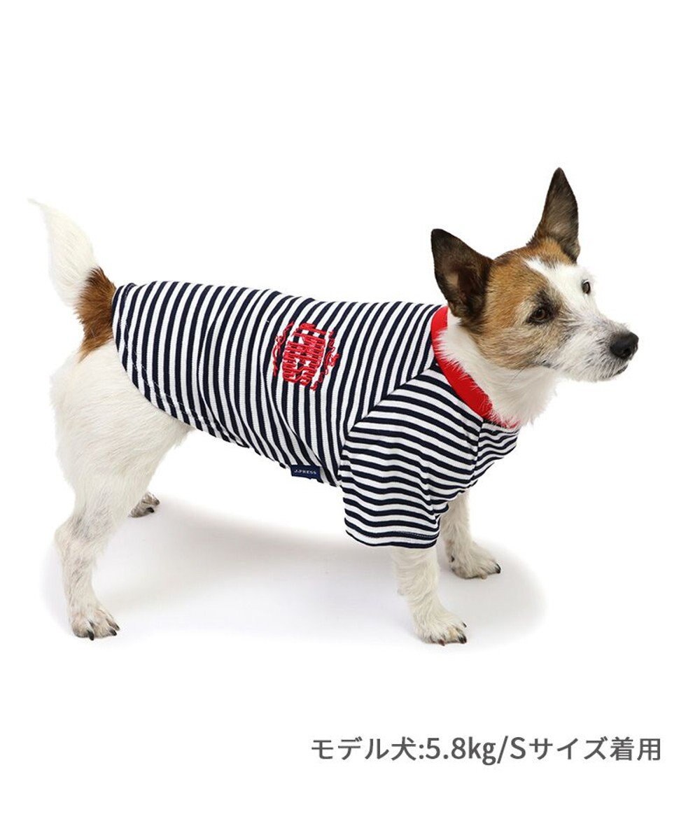 PET PARADISE J.PRESS ソフトボーダー Tシャツ 小型犬 