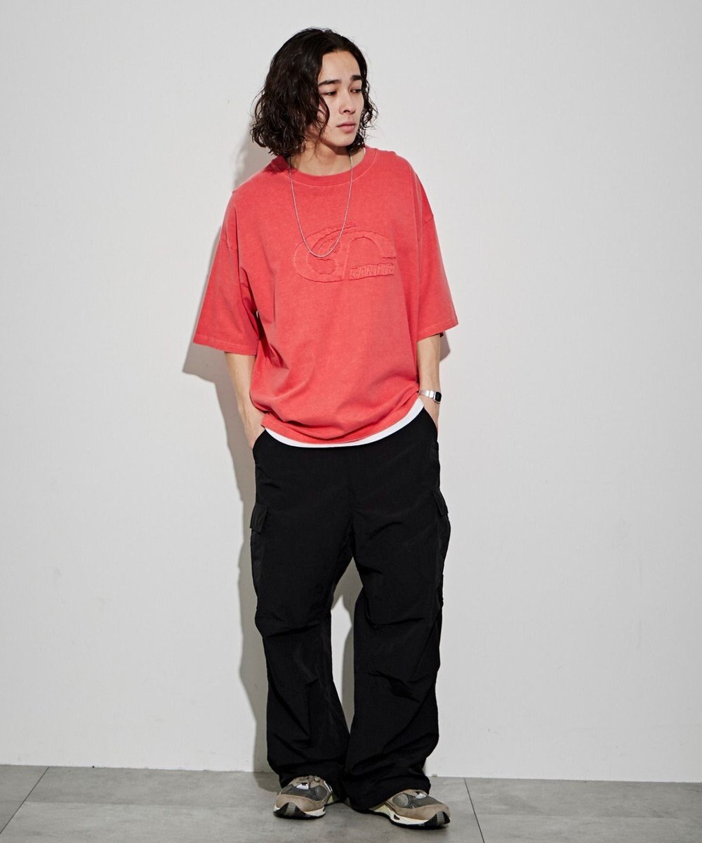 WEGO ピグメントダメージアップリケT（S） 