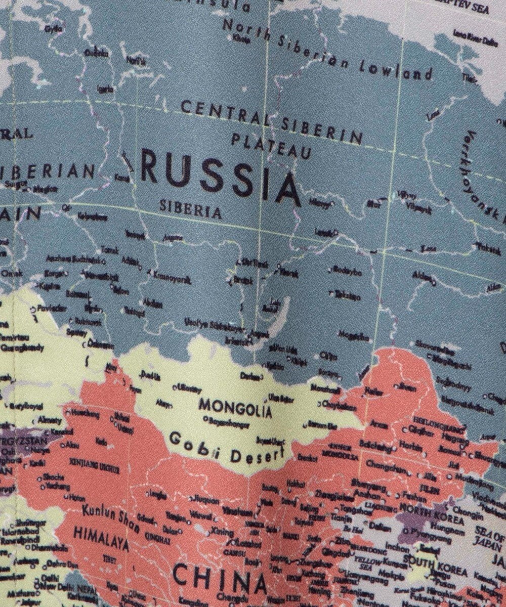 WEGO アムンゼンパターンBIGシャツ 