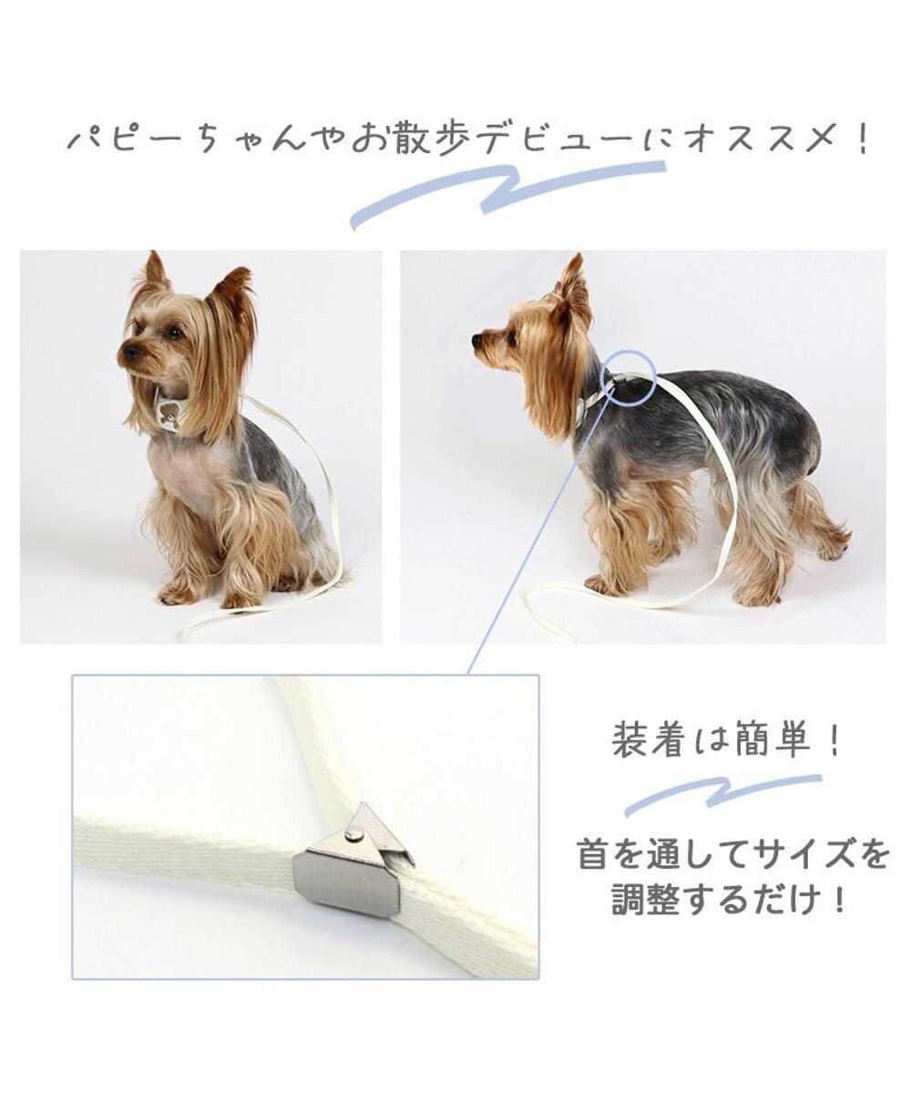 PET PARADISE 犬 首輪 リード付き 【４Ｓ~ＳＳ】 くまちゃん 
