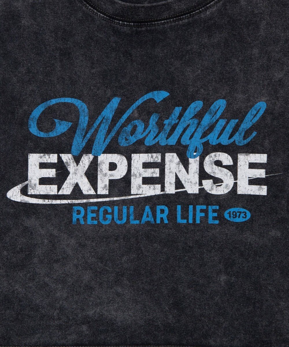 WEGO ヴィンテージウォッシュショートT 