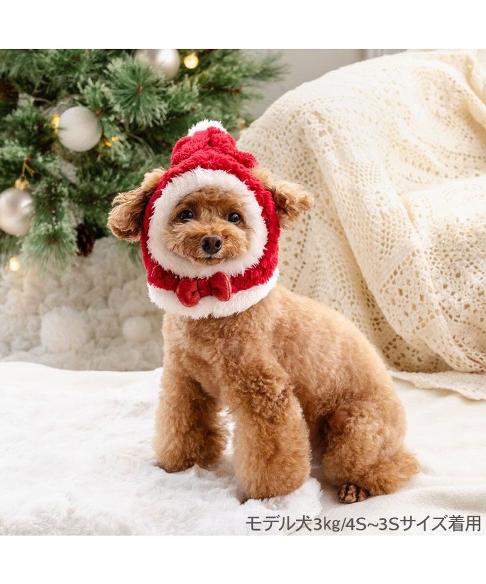 PET PARADISE ペットパラダイス サンタ 帽子 ４Ｓ～３Ｓ/ＳＳ～Ｓ  2025 小型犬 