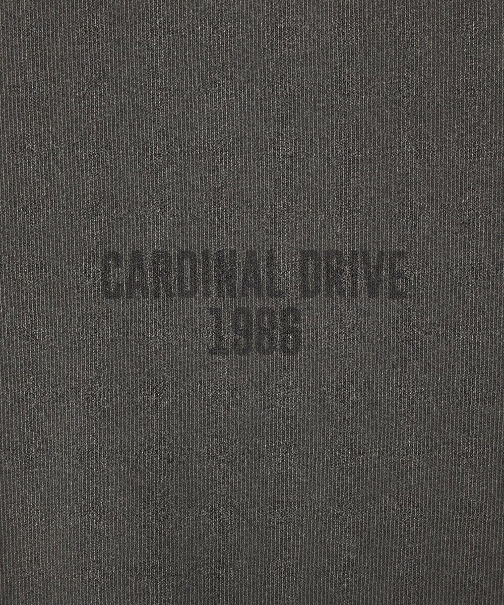 AMERICAN HOLIC バックロゴルーズＴシャツ 