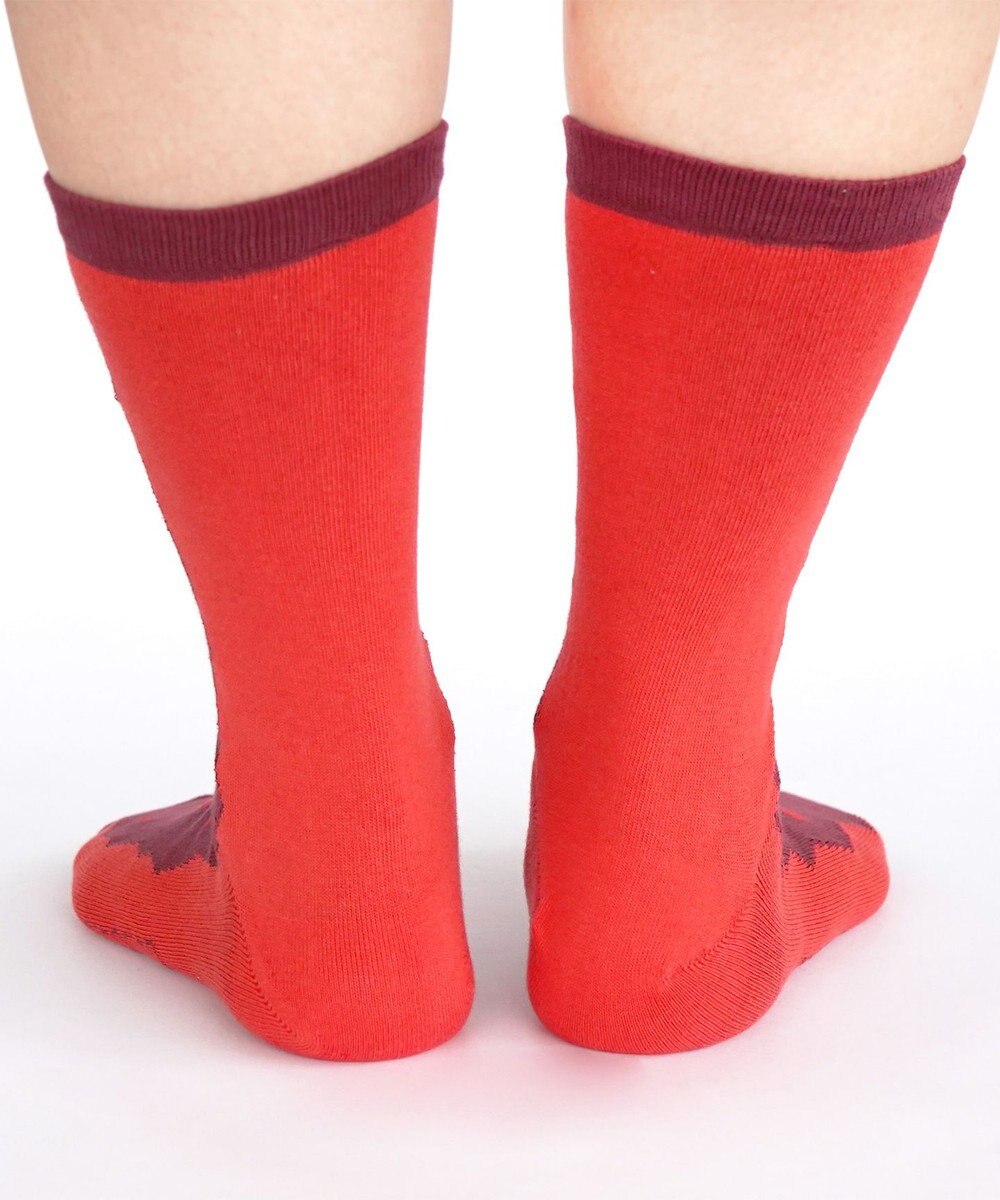 nitorito 【UNISEX】米沢オリジナル柄 mountain&moon 靴下 