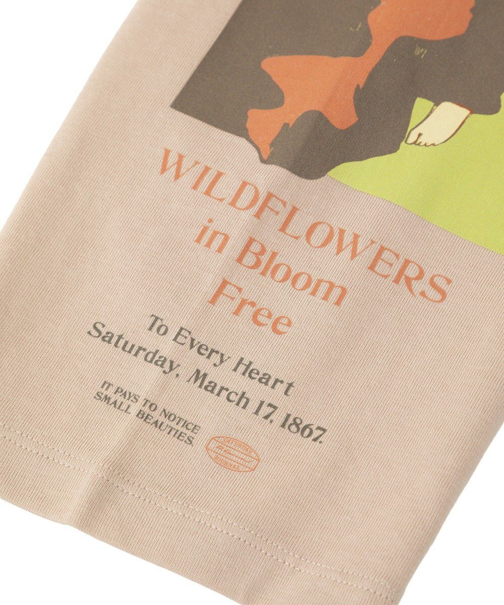 Green Parks ・ＳＵＧＡＲ　ＳＰＯＯＮ　アートｐｔロンＴＥＥ 