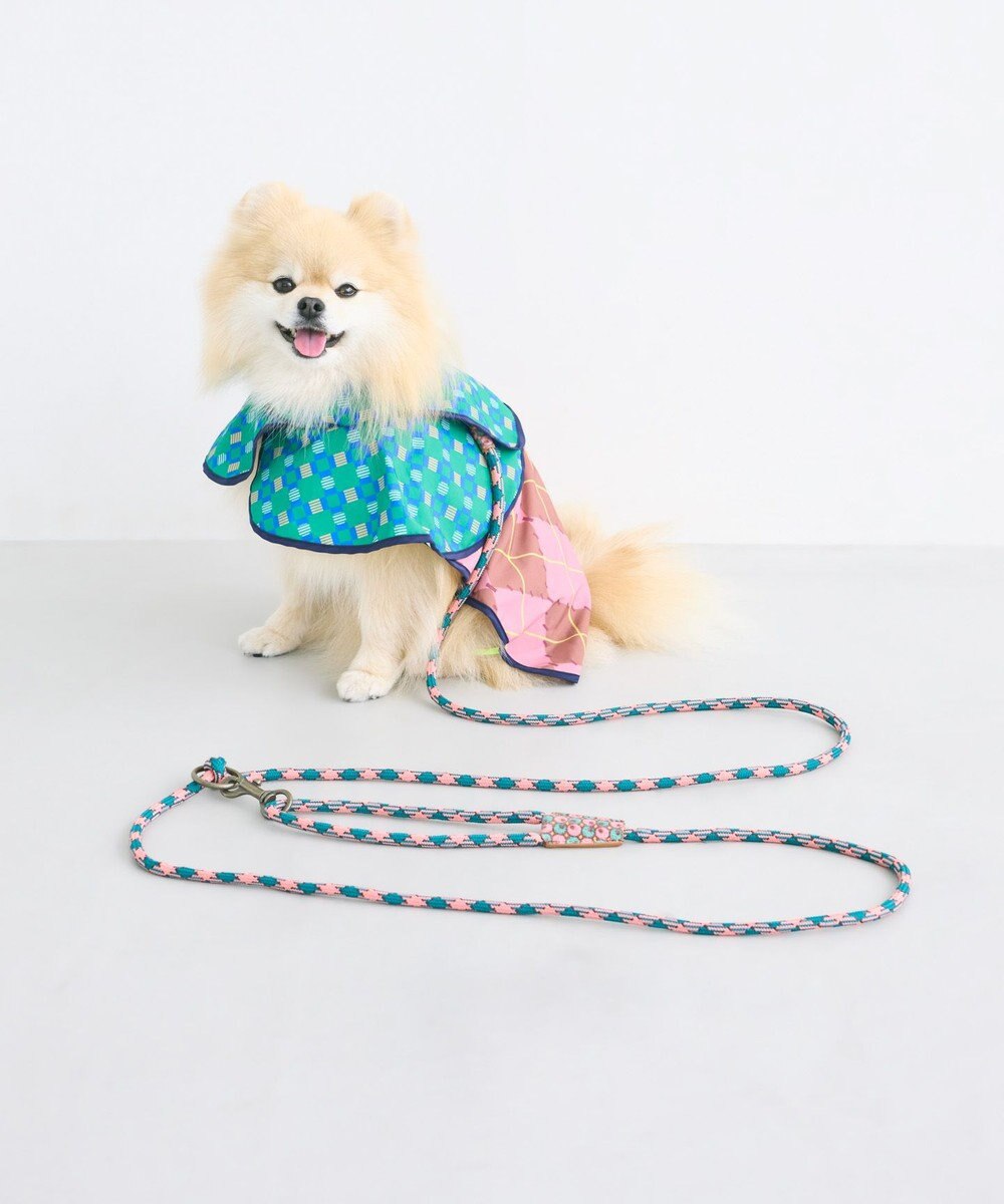 COQ HAPPY ARGYLE  ハンズフリーロングドッグリード 