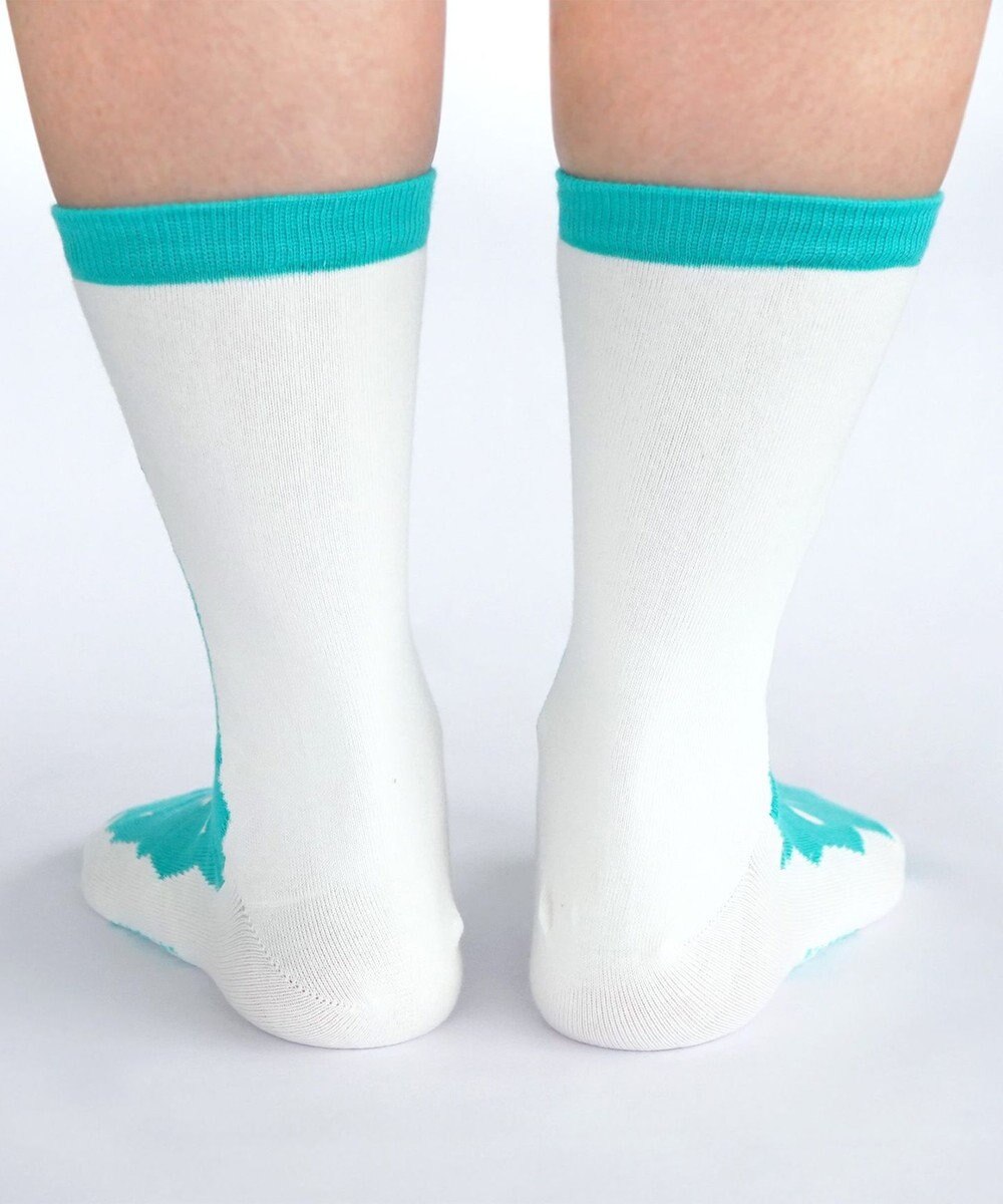 nitorito 【UNISEX】米沢オリジナル柄 mountain&moon 靴下 