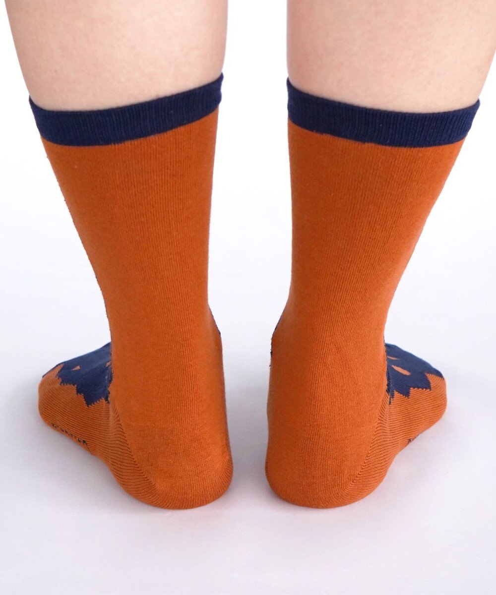 nitorito 【UNISEX】米沢オリジナル柄 mountain&moon 靴下 