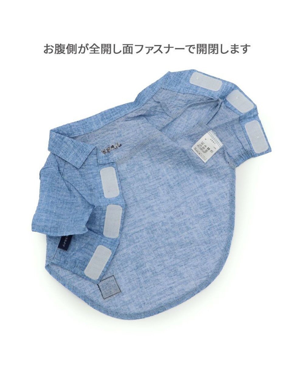 PET PARADISE J.PRESS 杢 ウェーブシャツ 《水色》 小型犬 