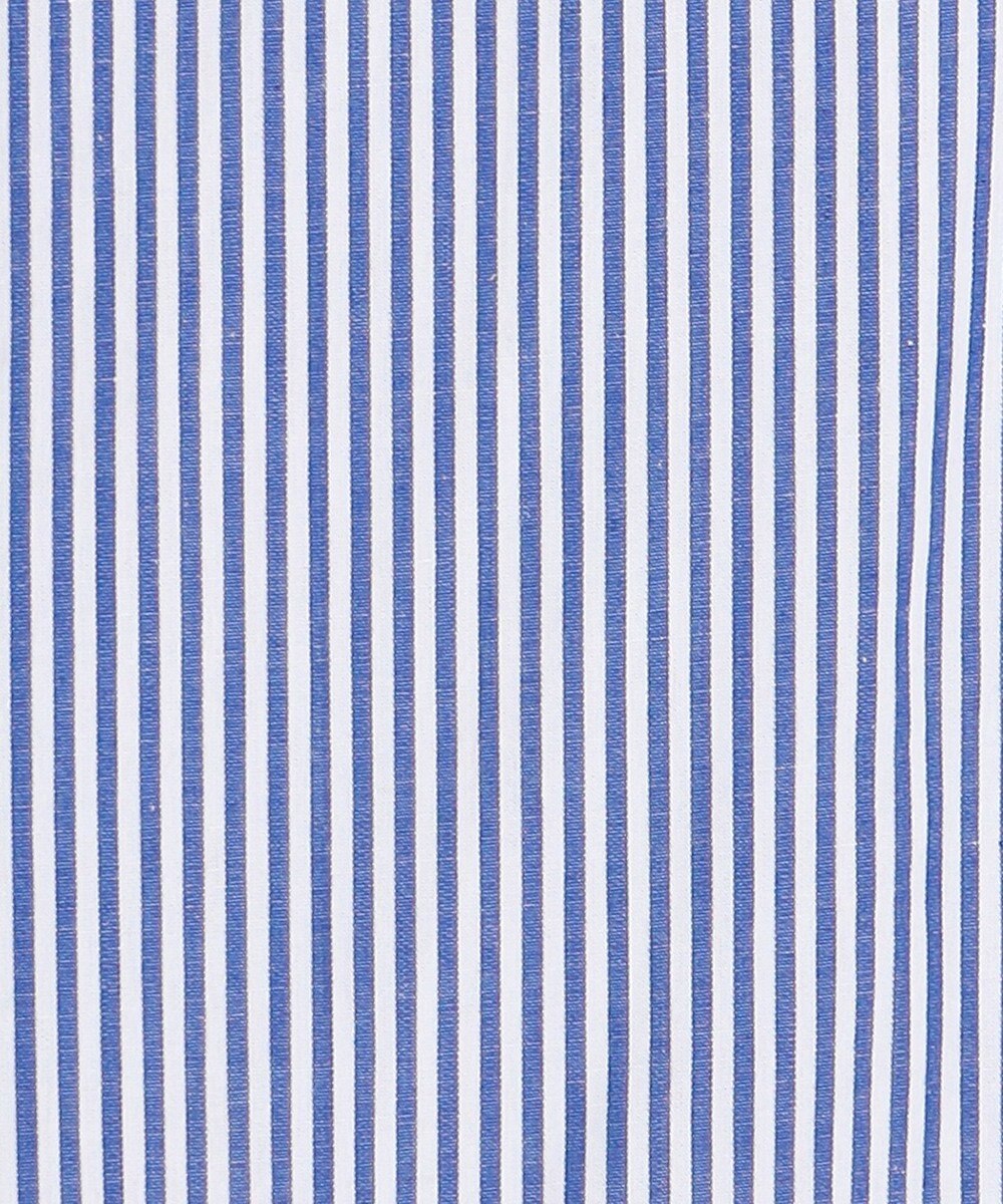 ANY 【POLO BCS別注】プレッピークロップドシャツ 