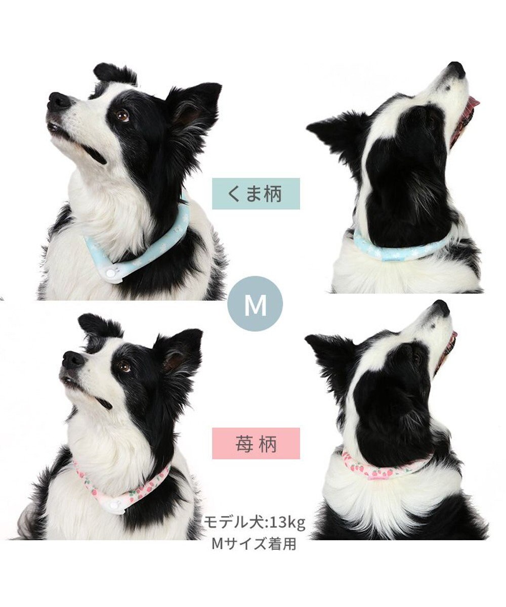 PET PARADISE ペットパラダイス 28℃クールリング SUO 《くま柄》 〔Ｍ〕 中型犬 
