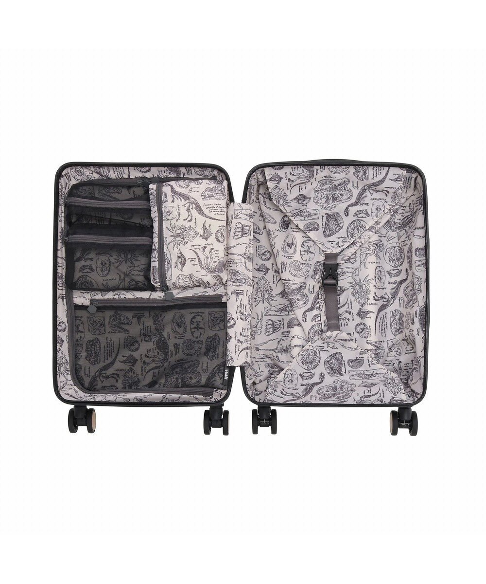 ACE BAGS & LUGGAGE HaNT ヘイヘイTR スーツケース 40L 機内持込  05180 ハント 