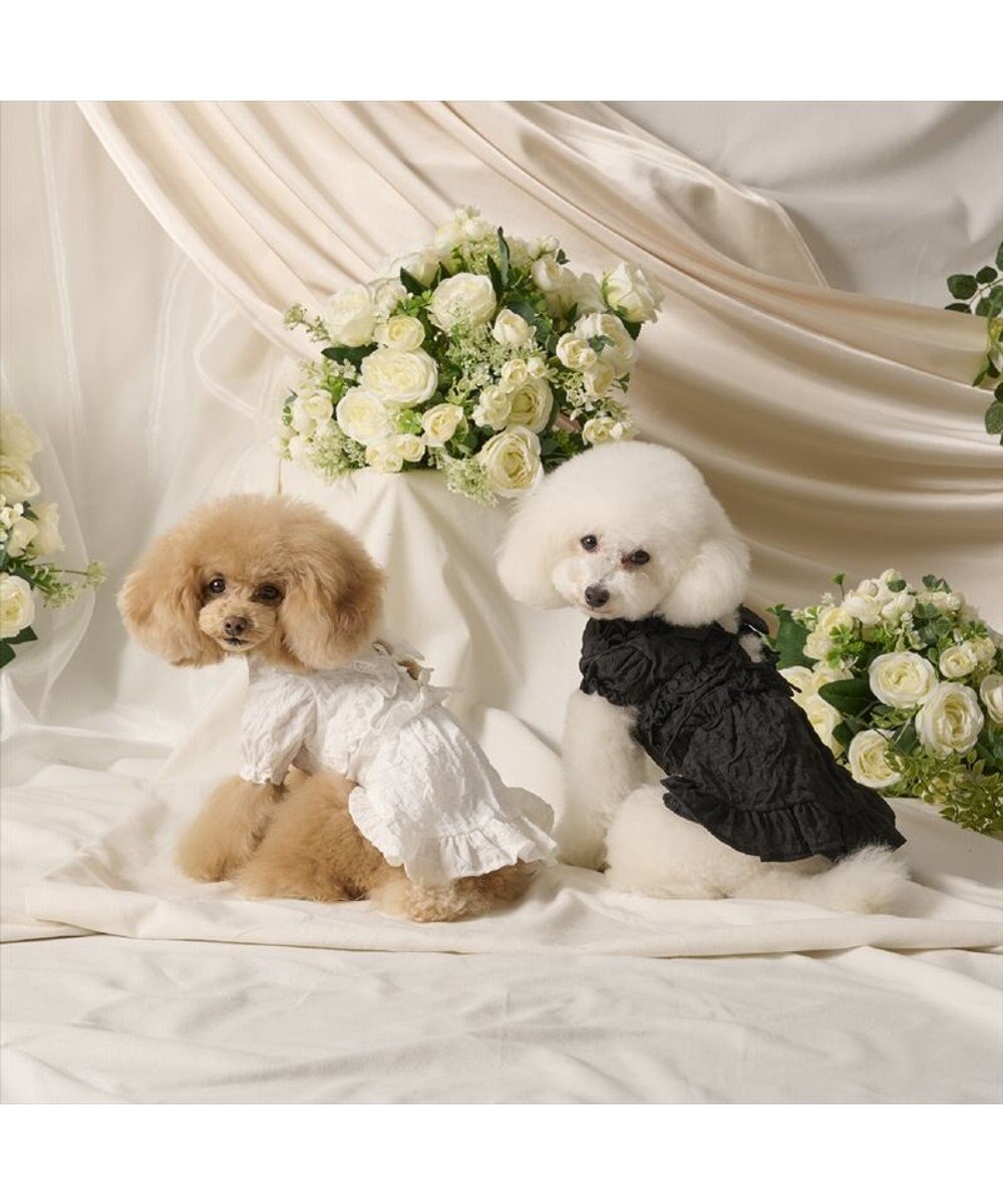 PET PARADISE cherircouture フリルリボン ワンピース 《ホワイト》 小型犬 