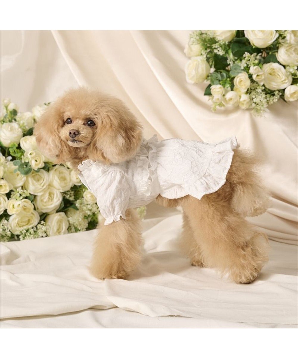 PET PARADISE cherircouture フリルリボン ワンピース 《ホワイト》 小型犬 