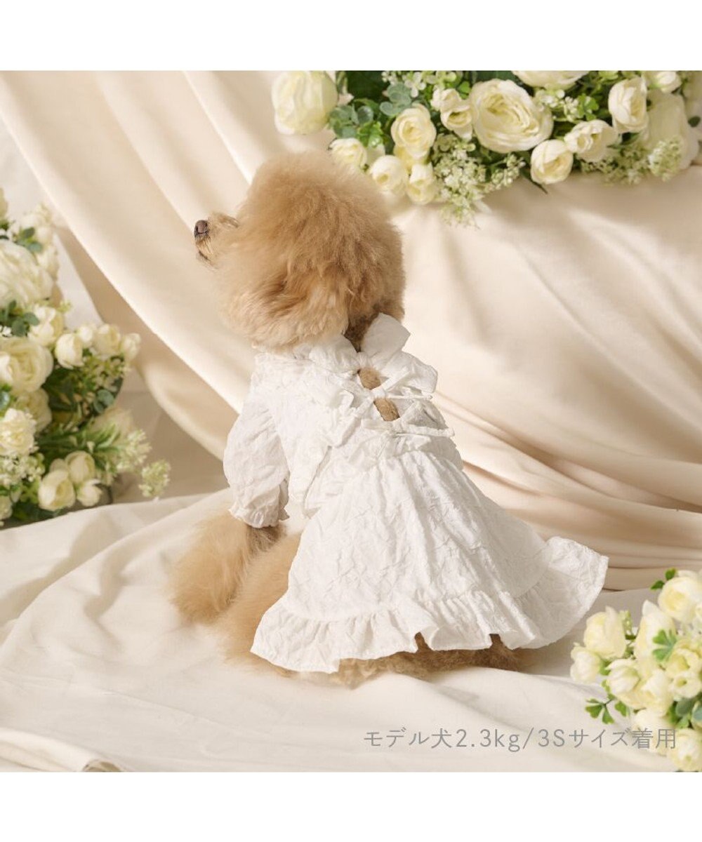 PET PARADISE cherircouture フリルリボン ワンピース 《ホワイト》 小型犬 