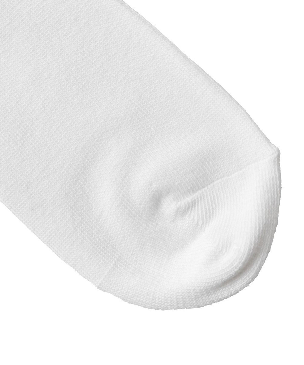 WEGO ラインショートソックス 