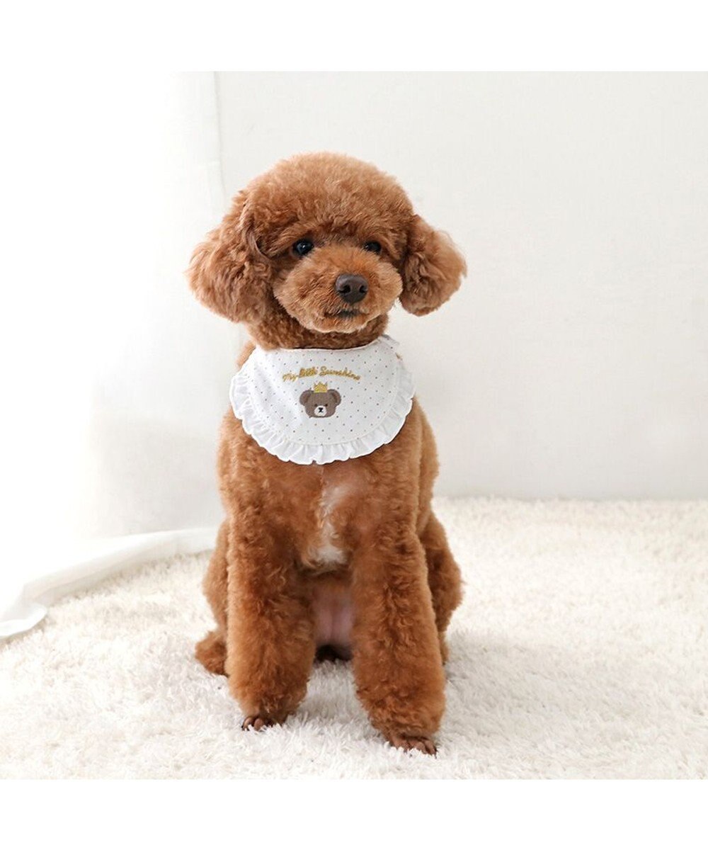 PET PARADISE ペットパラダイス くまちゃんスタイ 《王冠 》 小型犬 