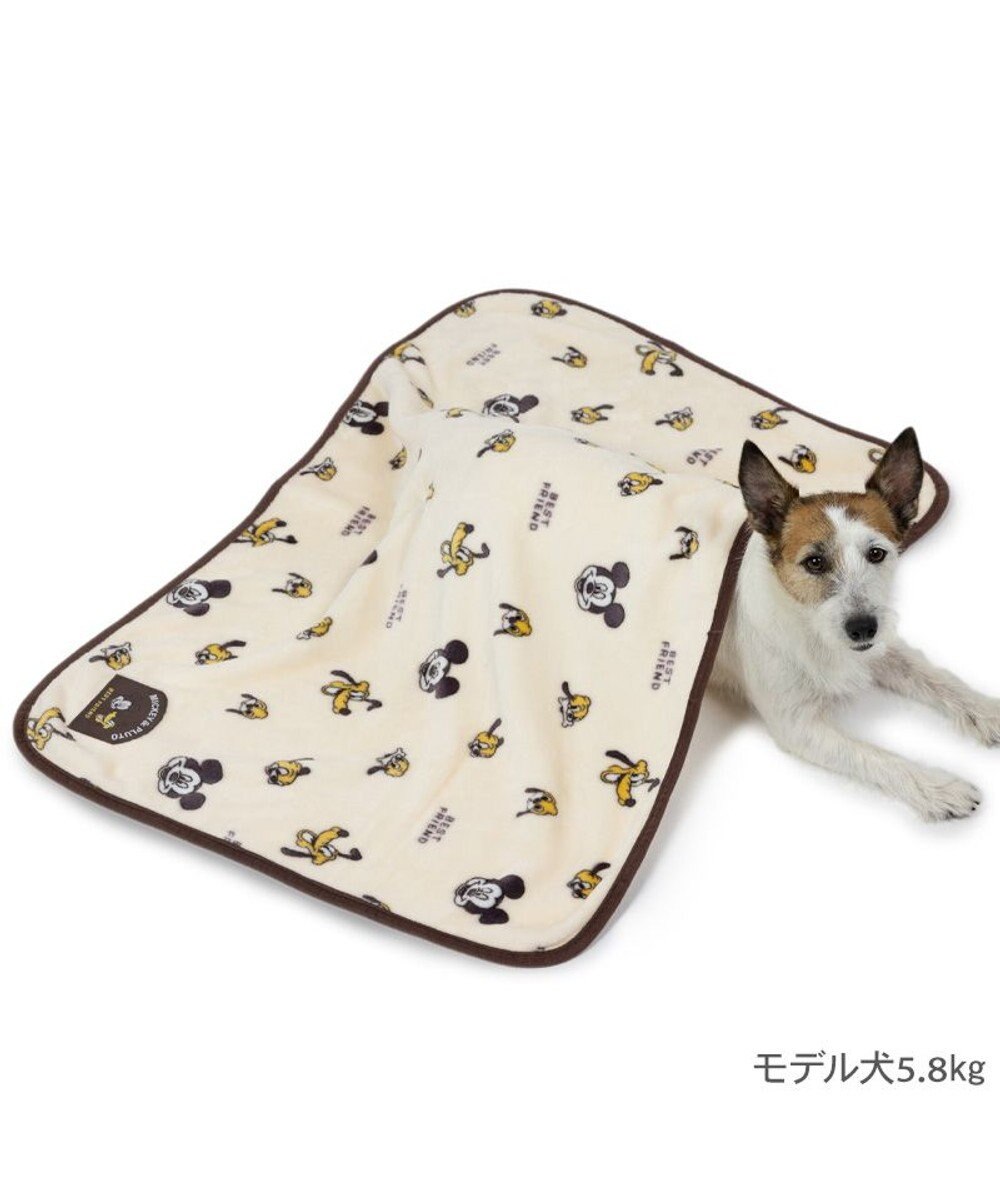 PET PARADISE ディズニー プルート ブランケット 