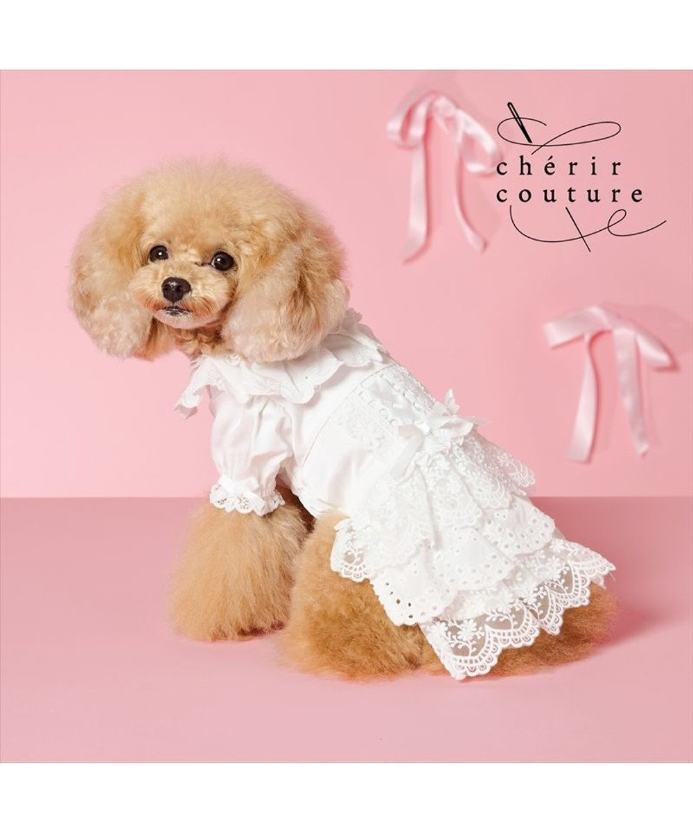 PET PARADISE cherircouture レースフリル ワンピース 小型犬 