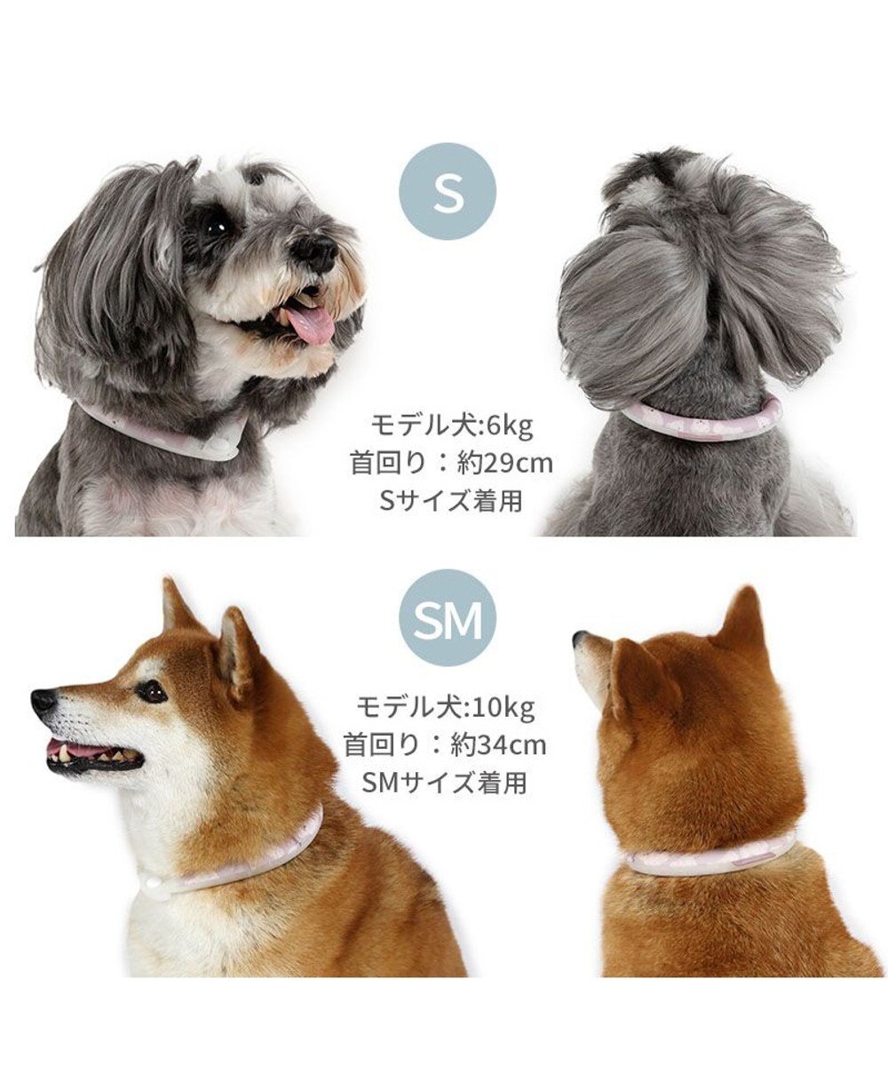 PET PARADISE ペットパラダイス 28℃クールリング  《くま》 ＳＭ 中型犬 