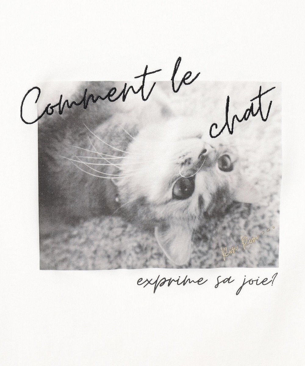 ANY SIS L 【貴島明日香さんコラボ】チュールレイニャード猫 Tシャツ 